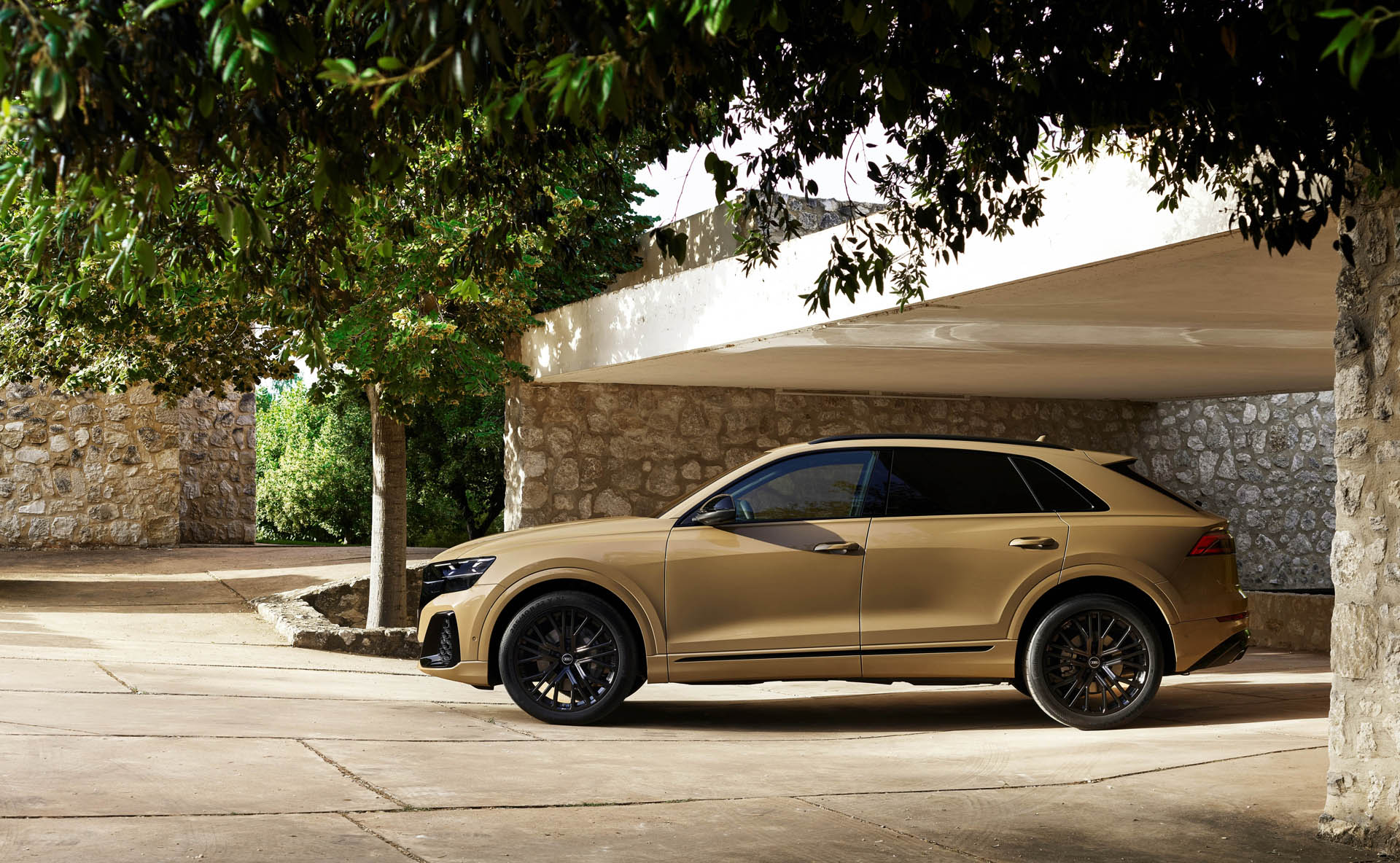 Audi Q8 2023 17
