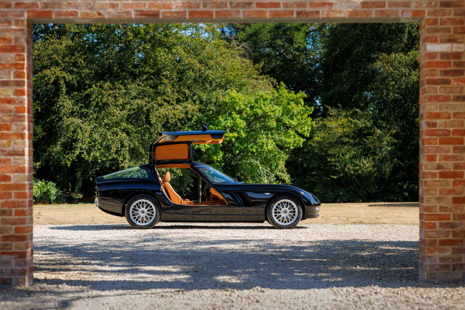001 Bristol Fighter - side