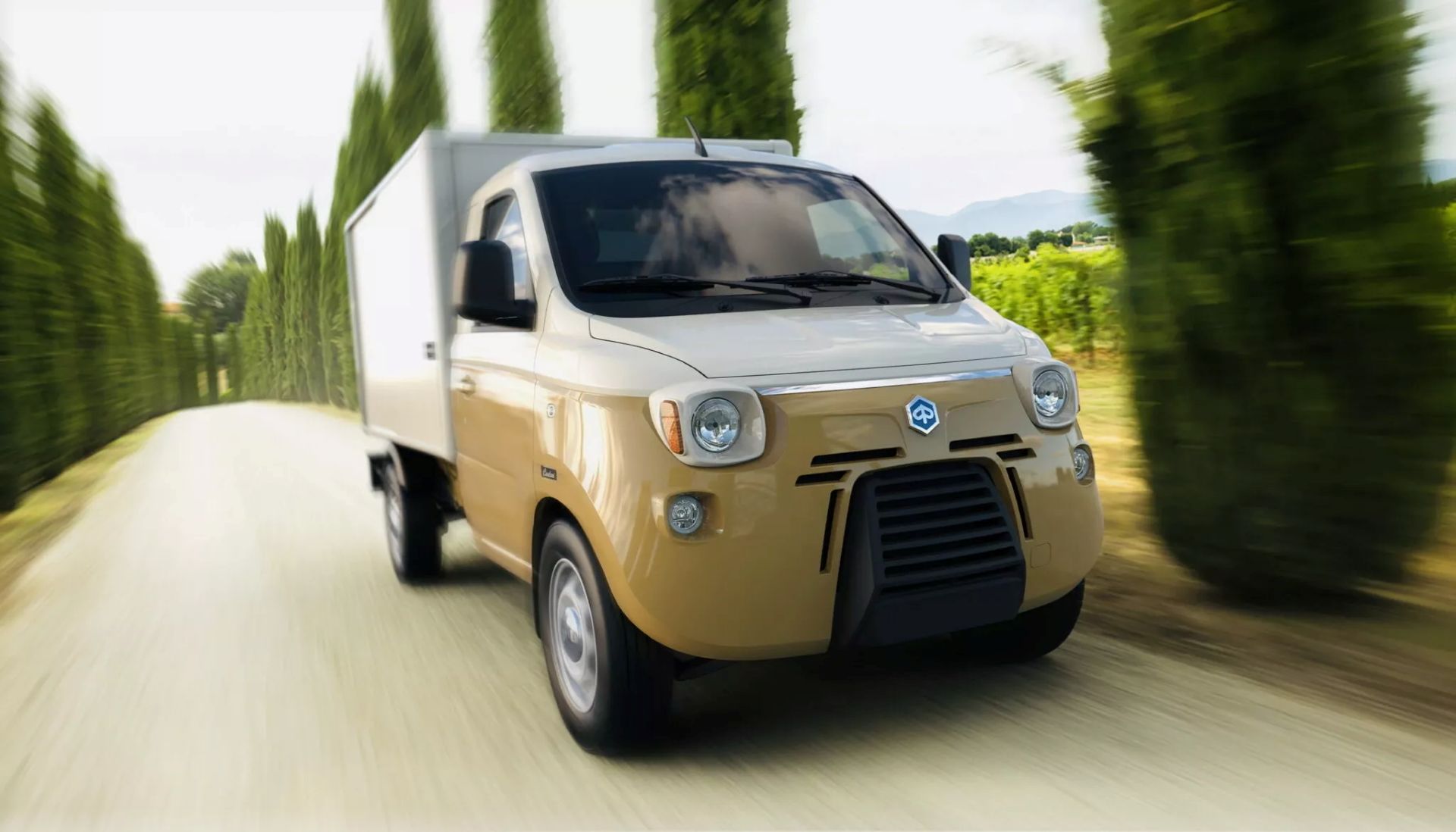 caselani 4pe mini truck 04