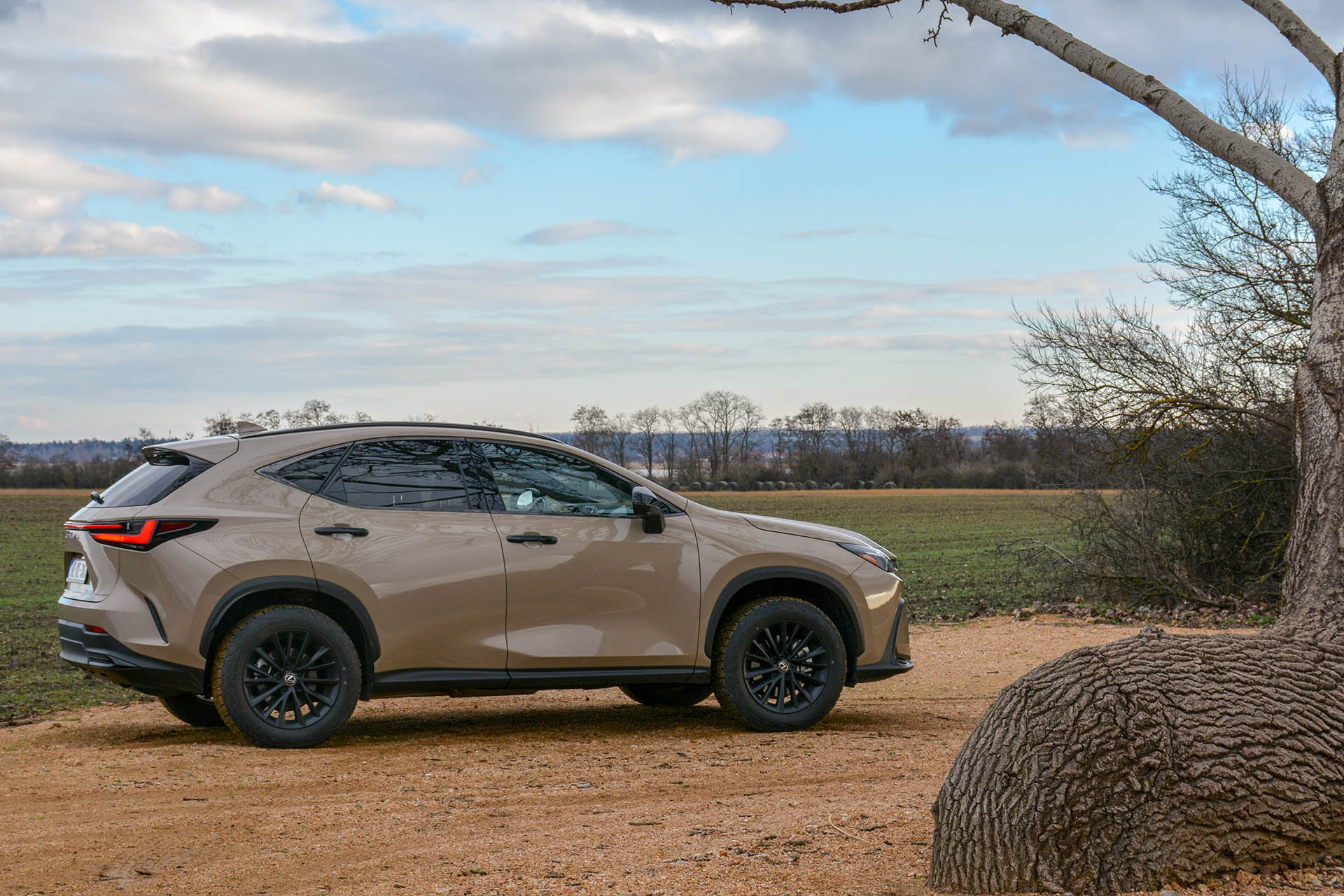 Lexus NX 350h Overtail 12