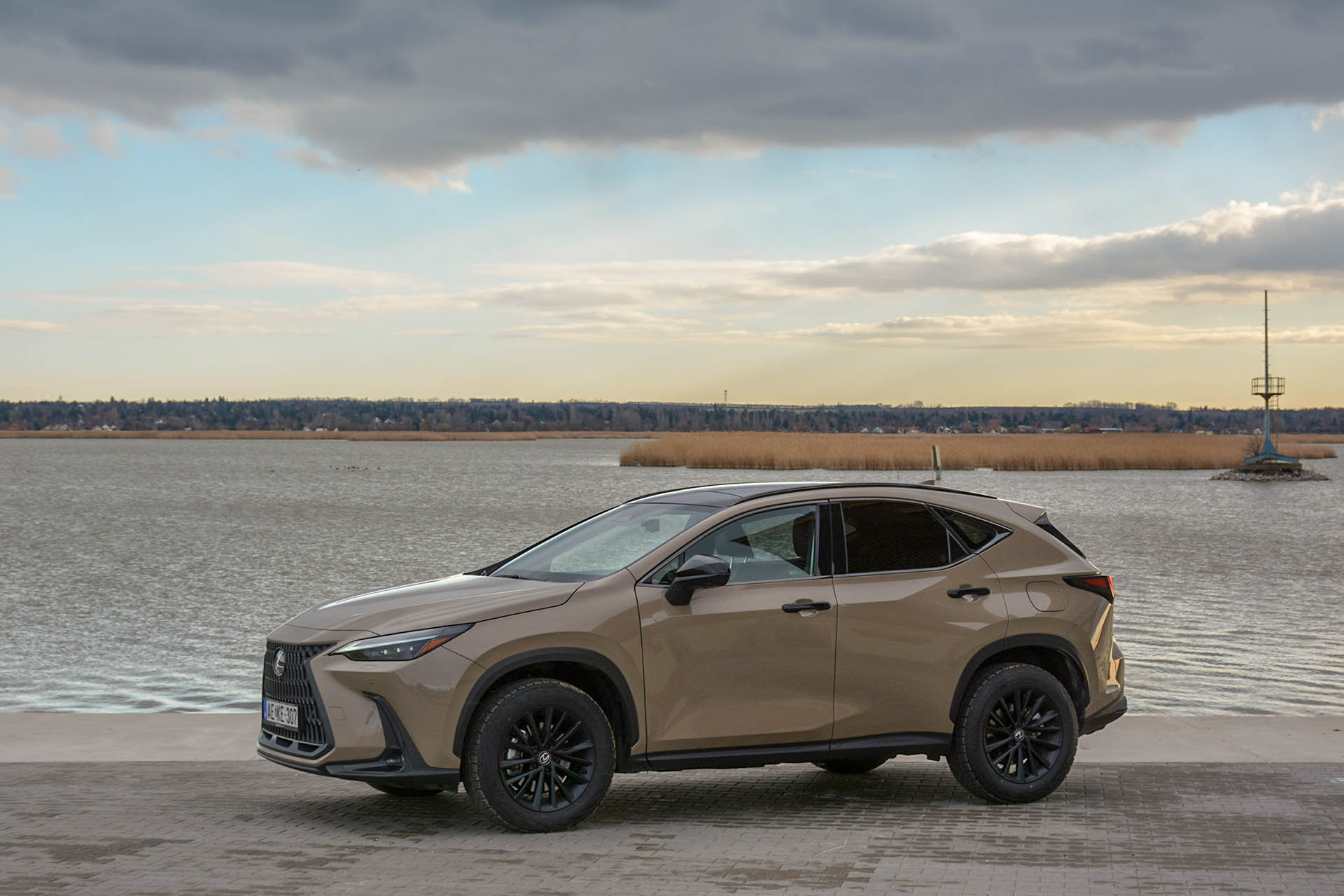 Lexus NX 350h Overtail 13