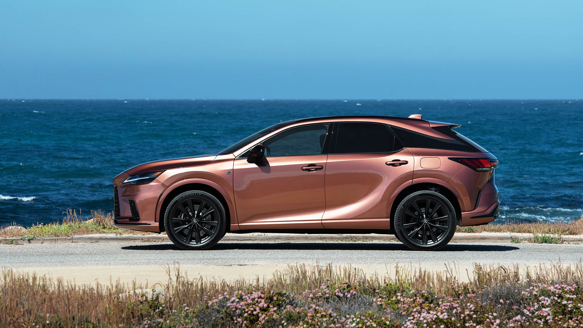 lexuxrx500hfsport10