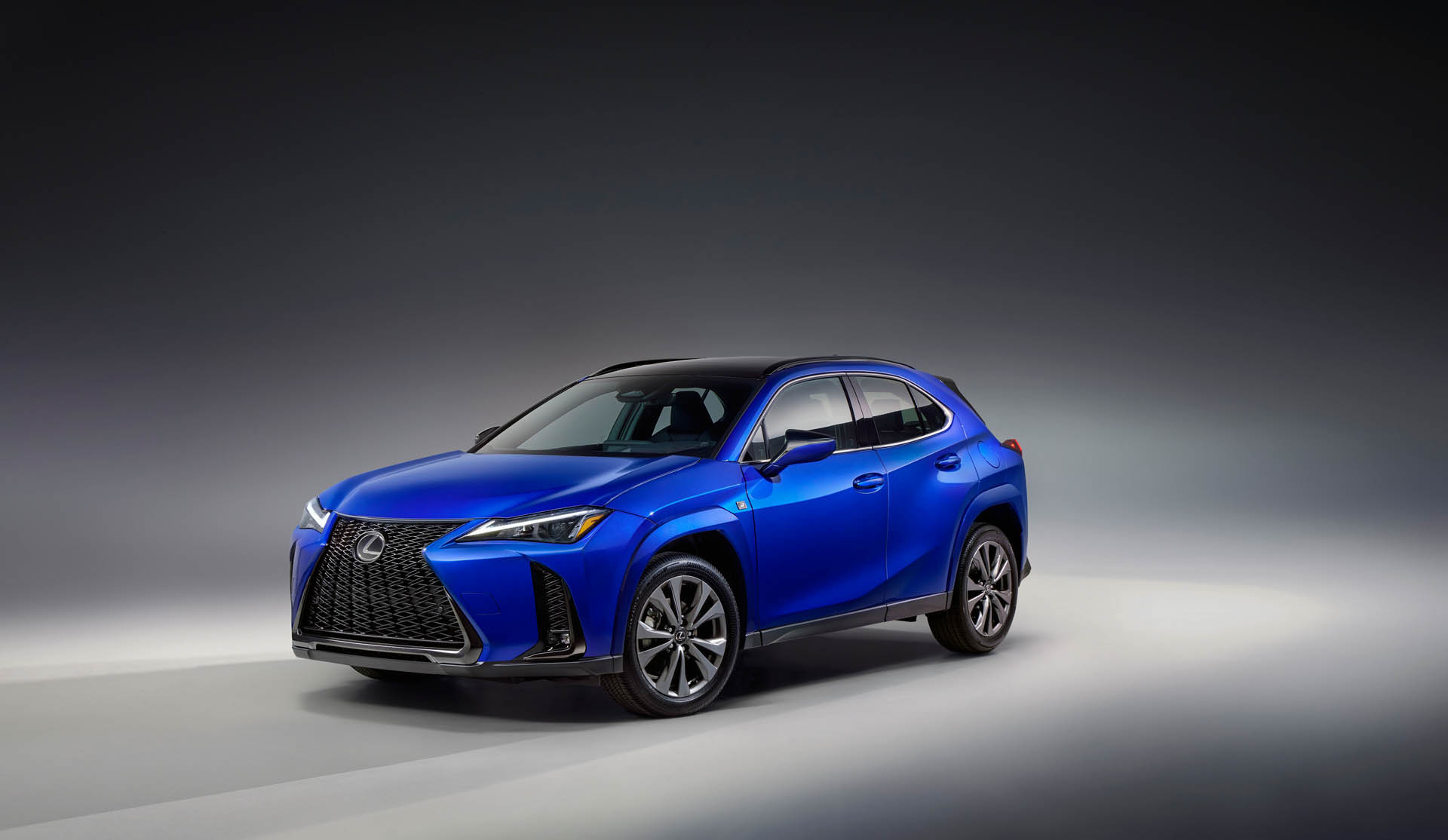 Lexus UXh FSPORT 2025 01