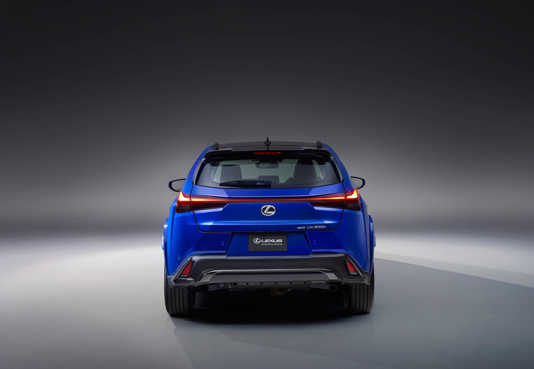 Lexus UXh FSPORT 2025 02