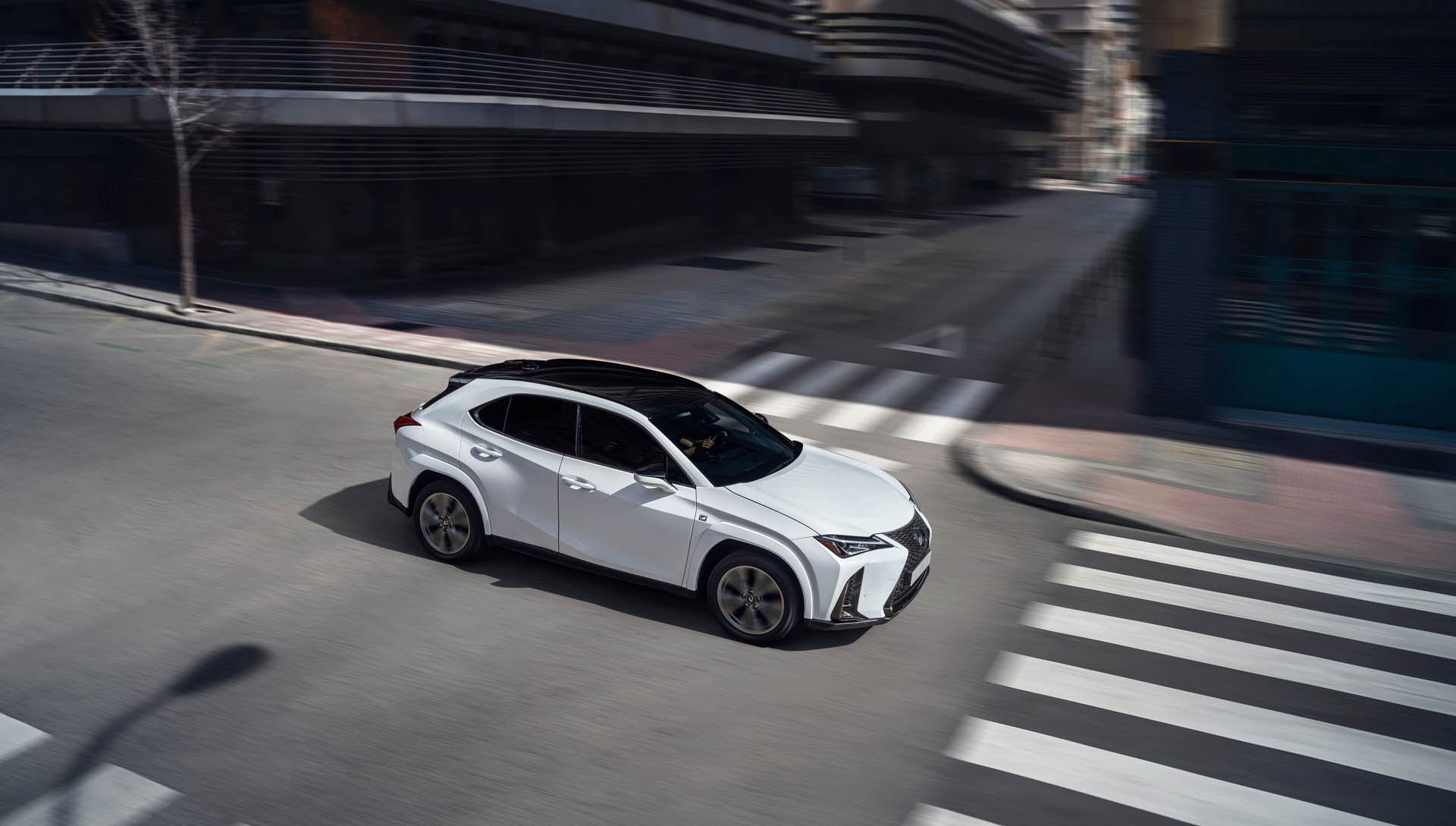 Lexus UXh FSPORT 2025 12