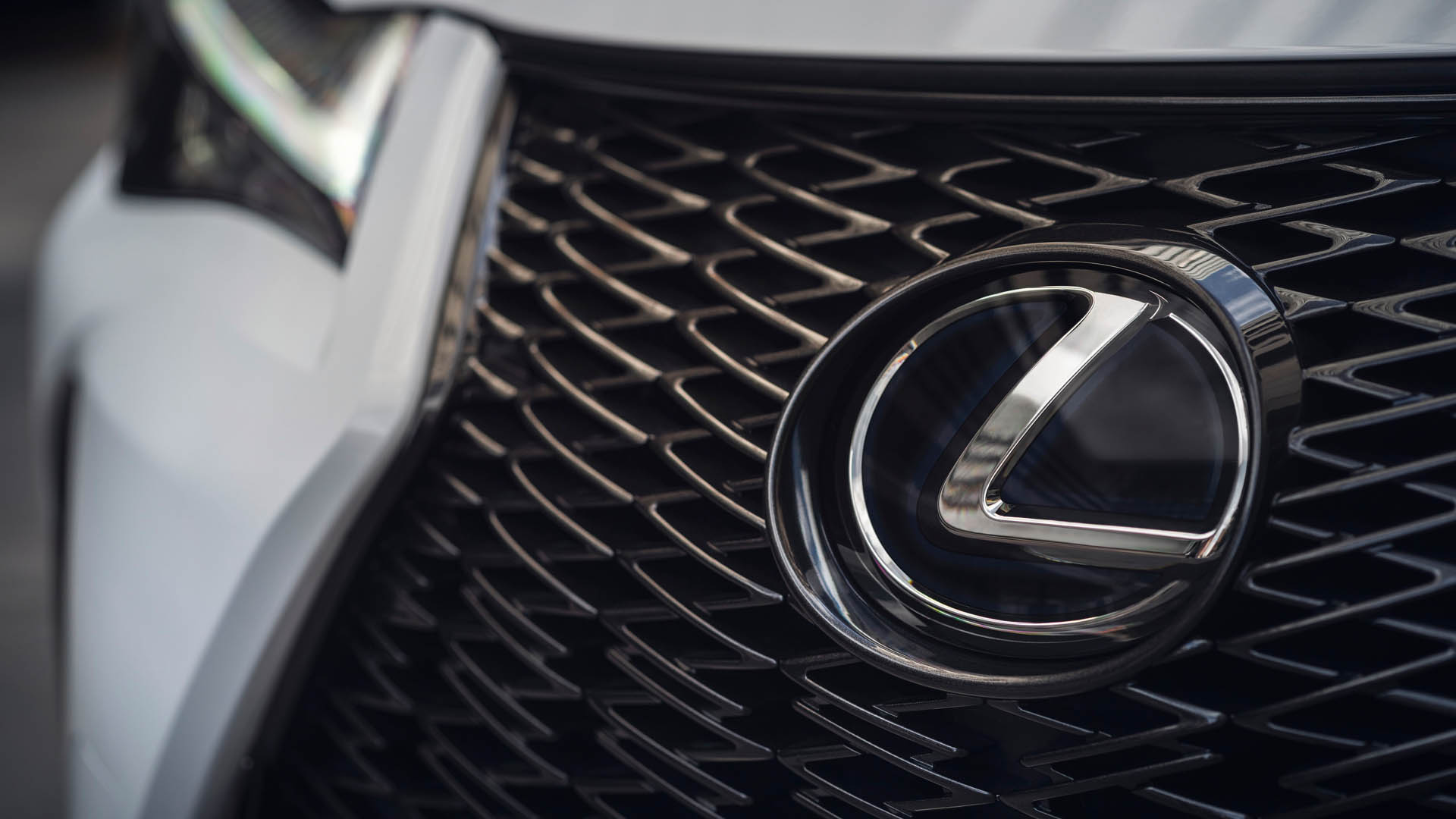 Lexus UXh FSPORT 2025 15
