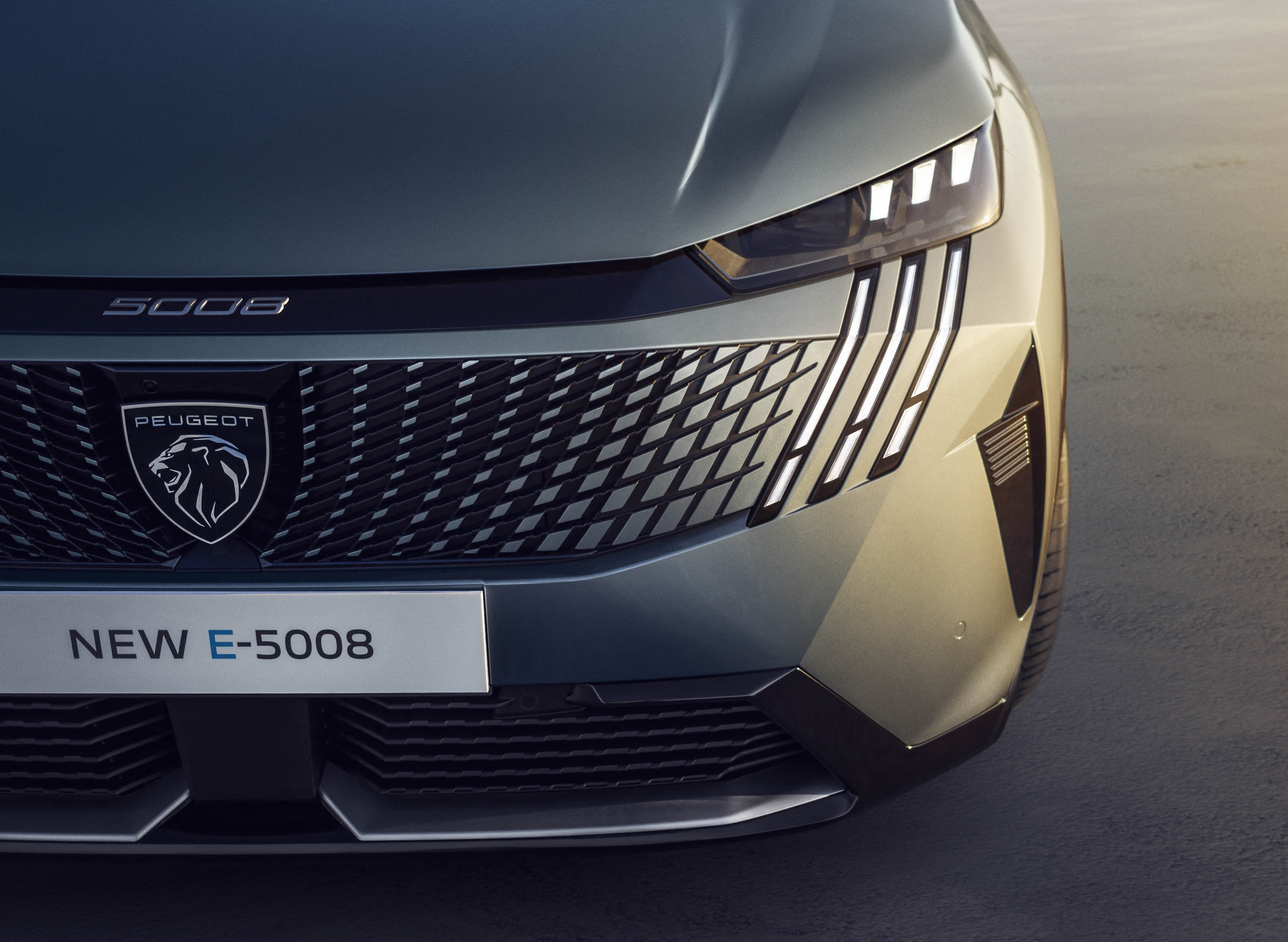 peugeot e5008 08