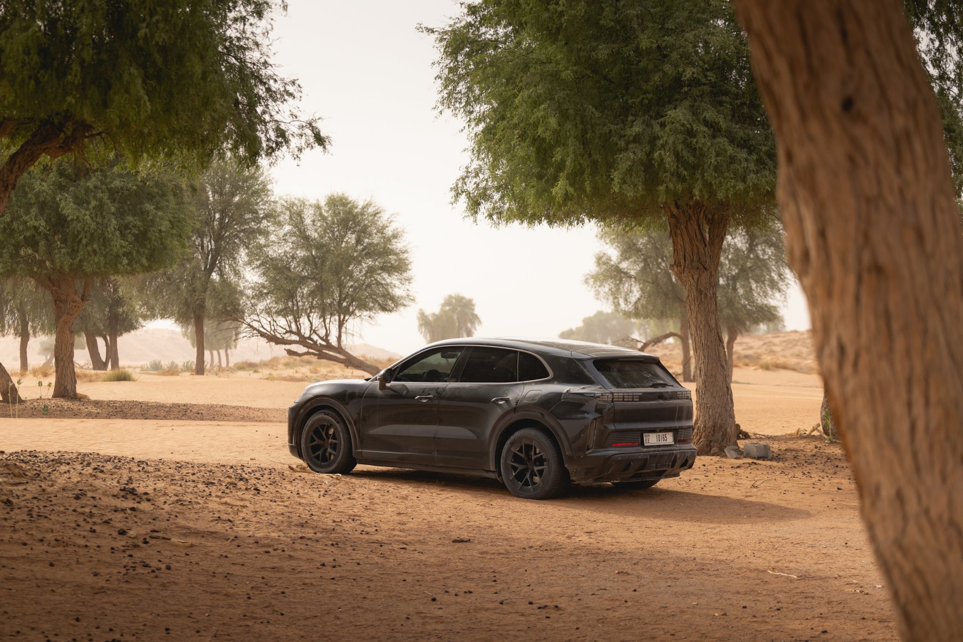 porsche cayenne electric 41