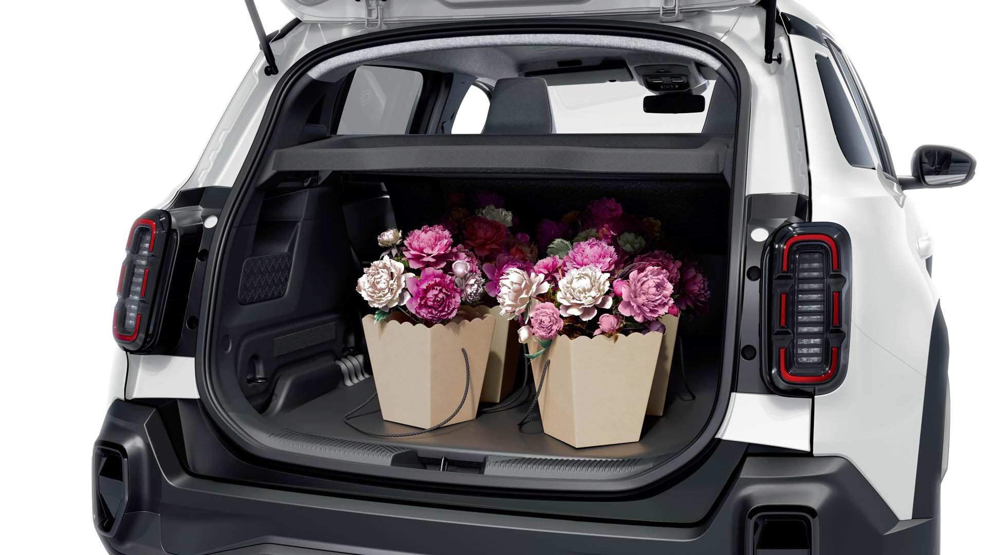 Renault 4 E-Tech electric - version Socit 11