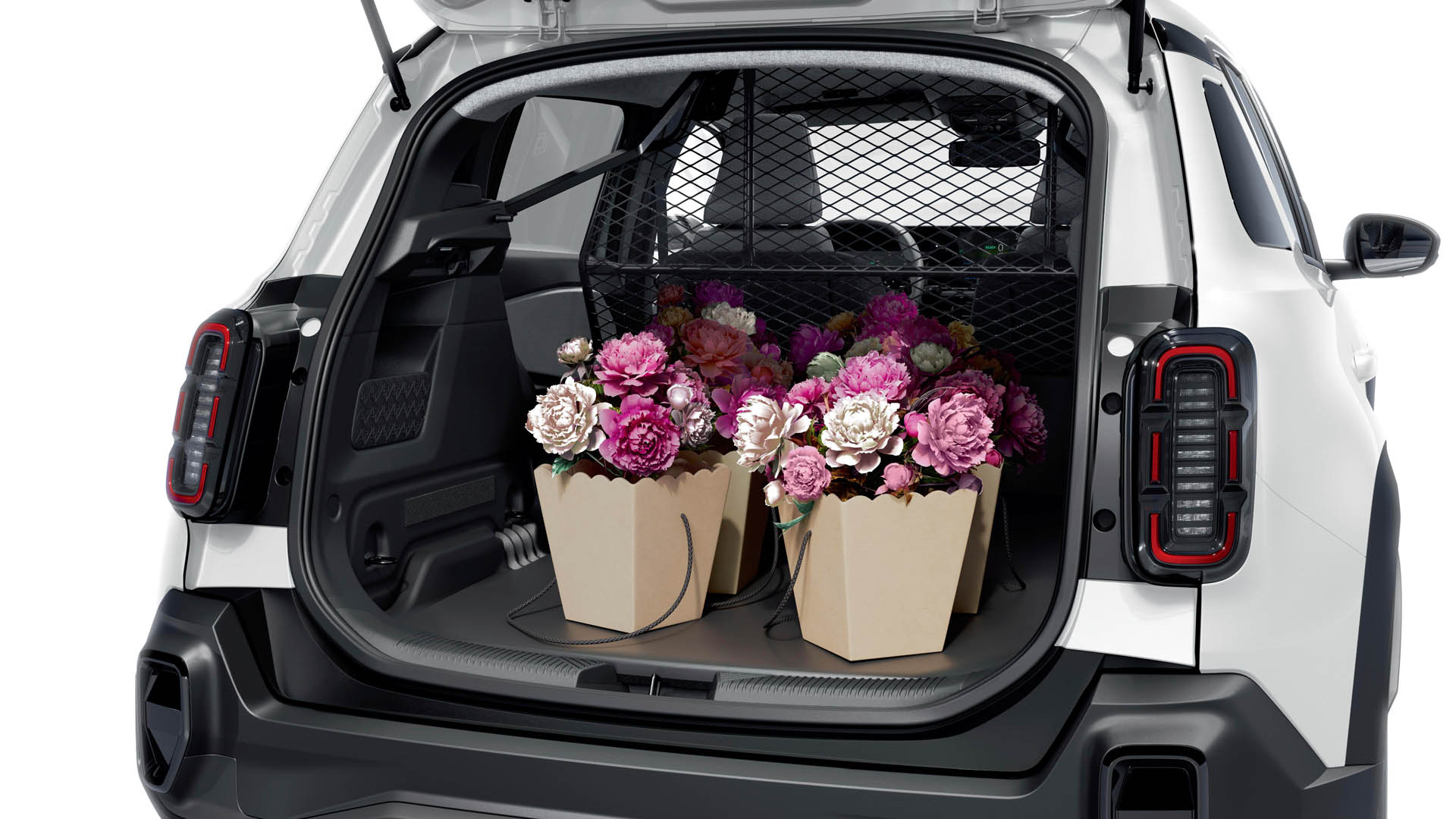 Renault 4 E-Tech electric - version Socit 13