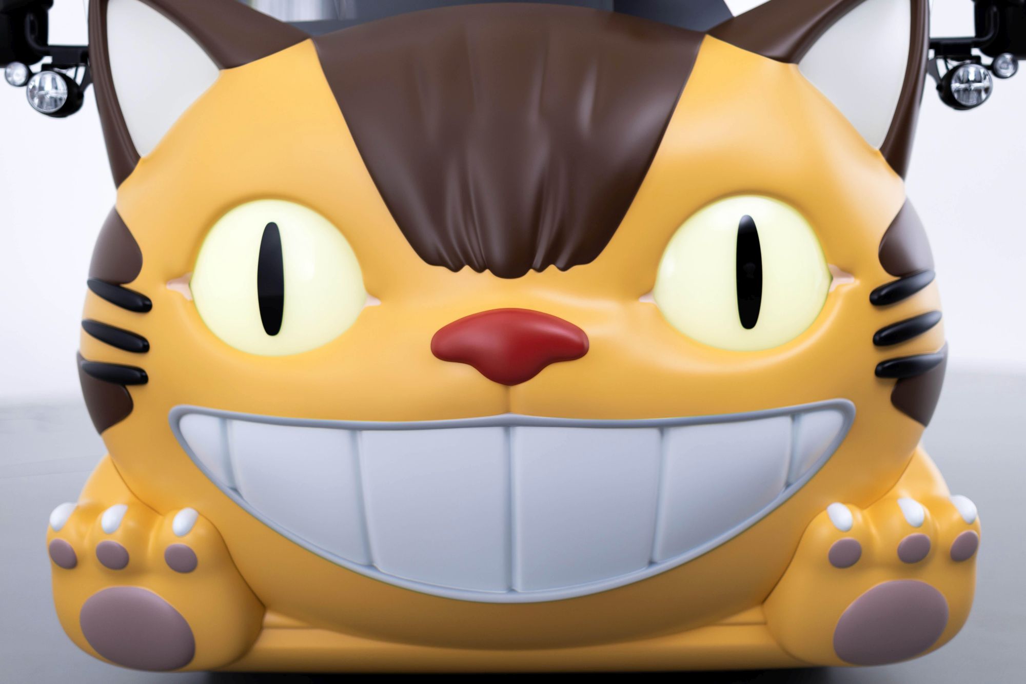 cat bus 1
