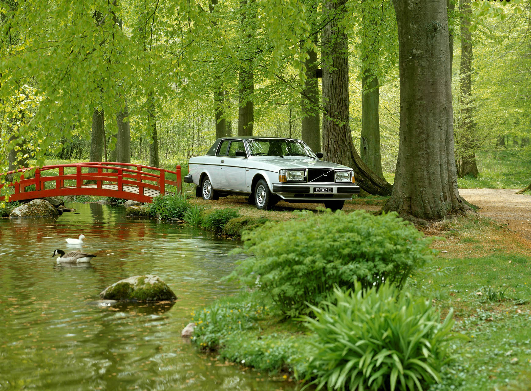 6116 Volvo 262 C
