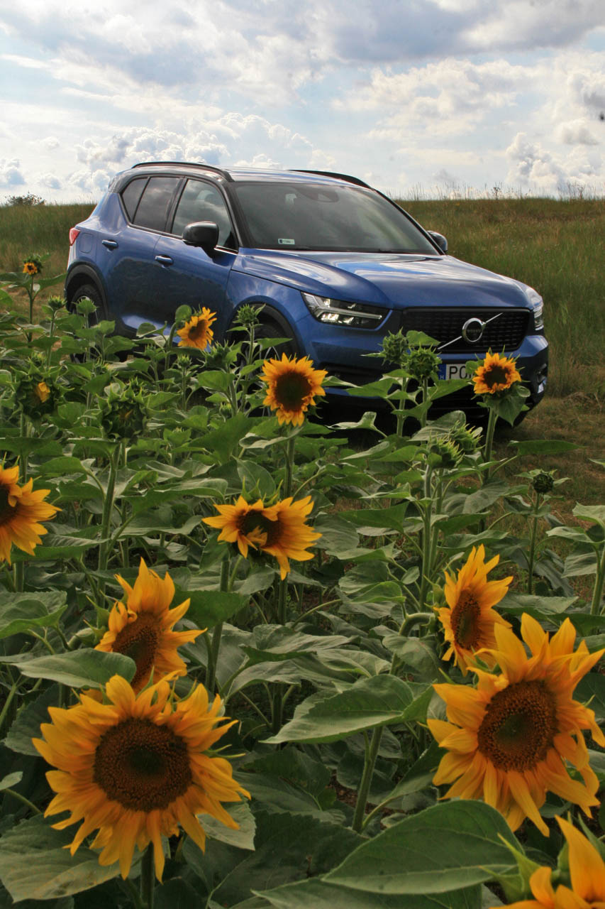 volvoxc40t5awdrdesign02